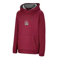 Colosseum Kids' Montana Grizzlies London Hoodie