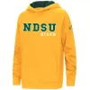 Colosseum Kids' North Dakota State Bison 2022 Cyber Hoodie